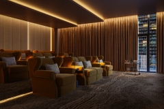 Screening-Room